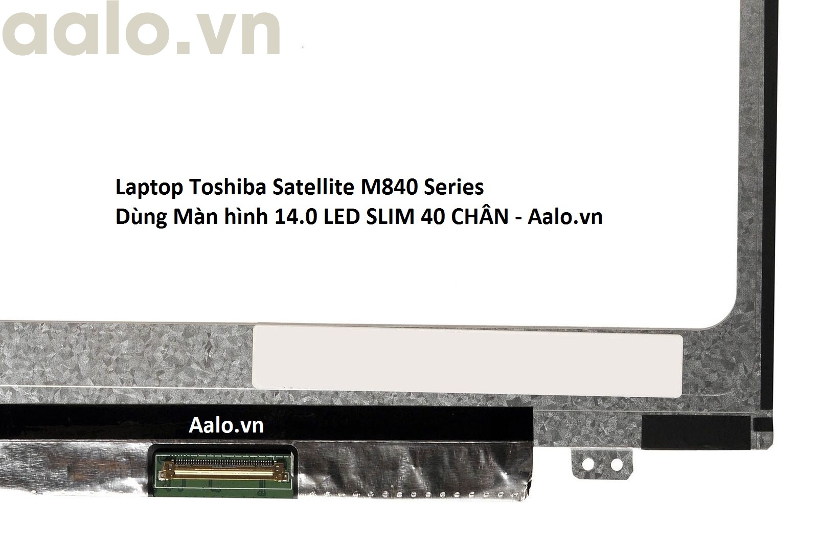 Màn hình Laptop Toshiba Satellite M840 Series